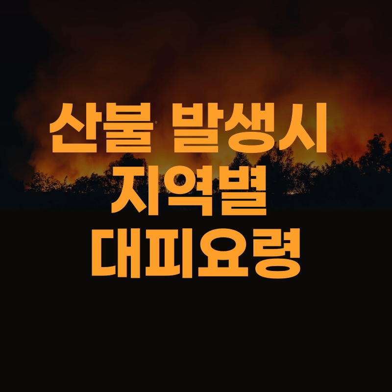 산불 상황별 대피 요령과 지역별 행동 요령 A to Z