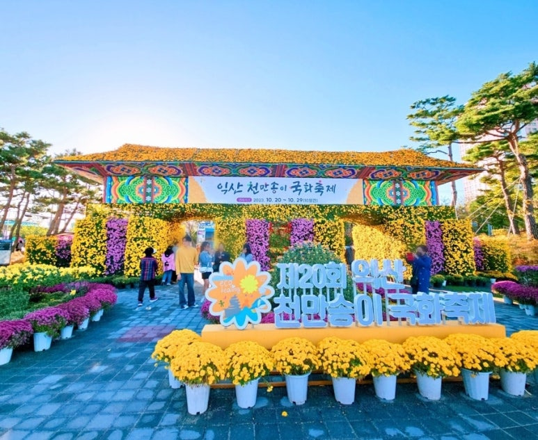익산 천만송이 국화축제5