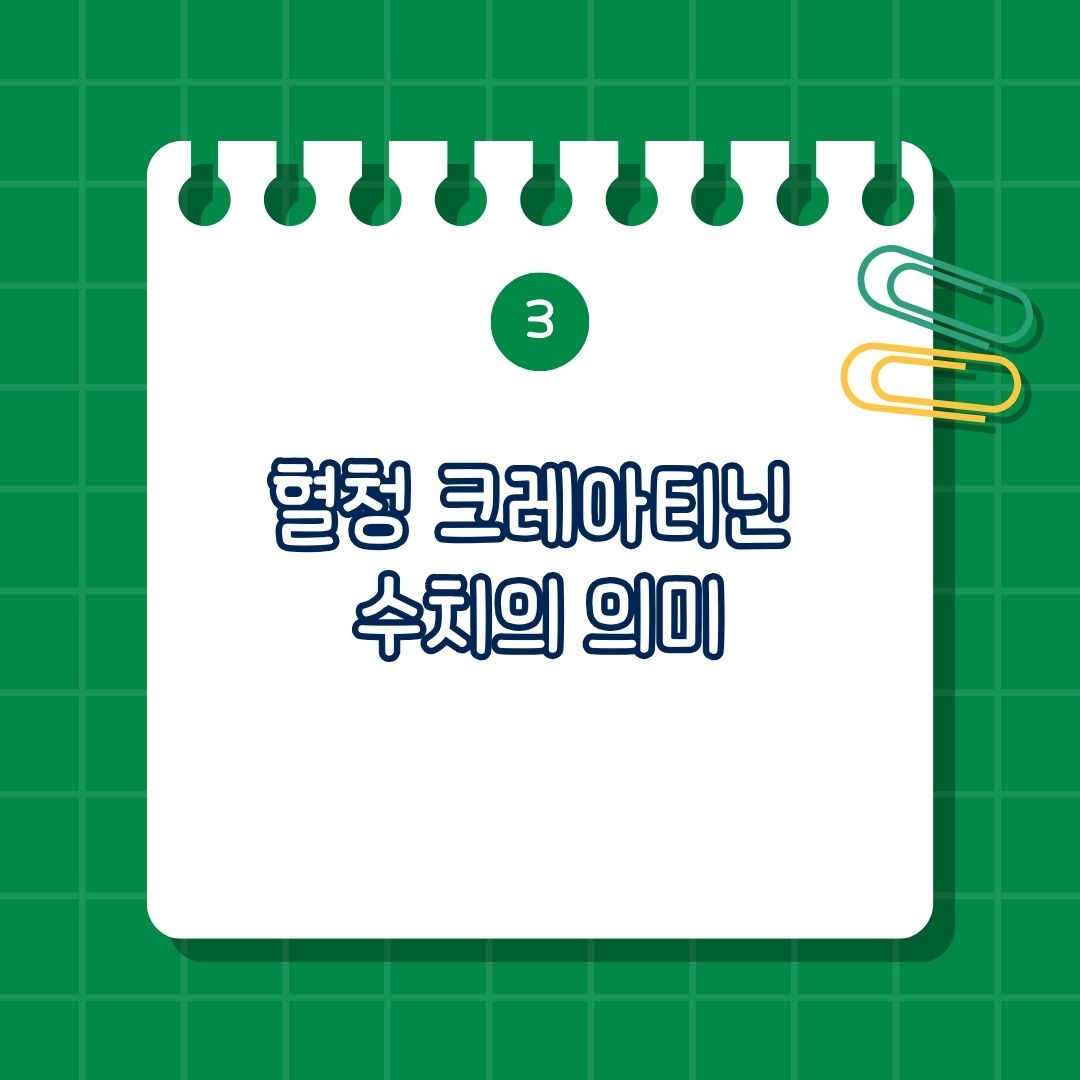혈청 크레아티닌 수치의 의미, 수치가 높을 때 급성 신부전, 만성 신부전, 신장 질환, 탈수, 근육 손상, 수치가 낮을 때 근육량 감소, 임신, 과도한 수분 섭취