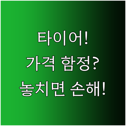 윈터타이어 가격 비교 시 놓치지 말아..