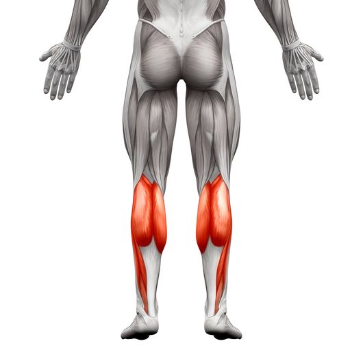 종아리 근육파열 증상