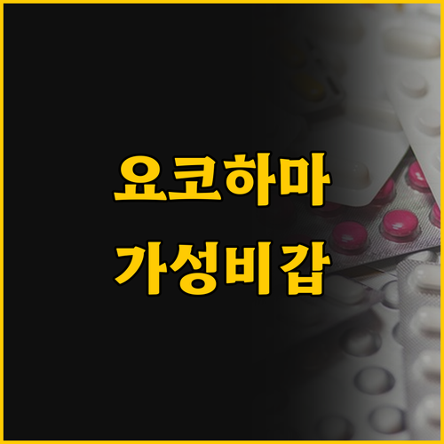 요코하마 2만원대 캡슐 플러스에서 사..