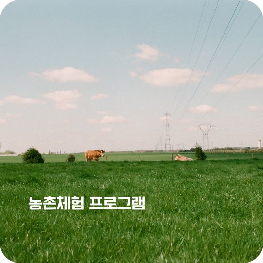 농촌체험 프로그램 선착순 예약하기