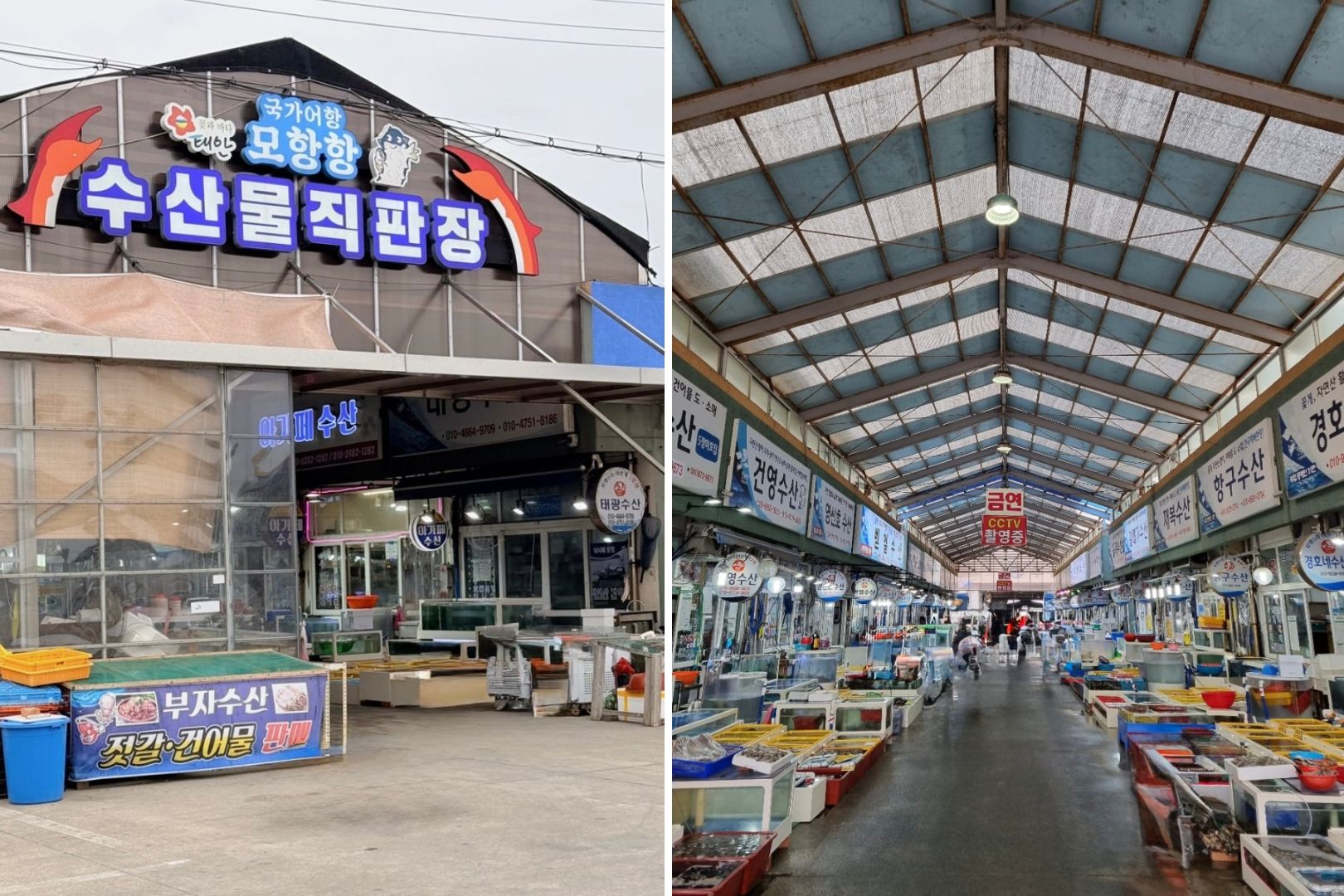 모항항 수산물직판장 입구 풍경