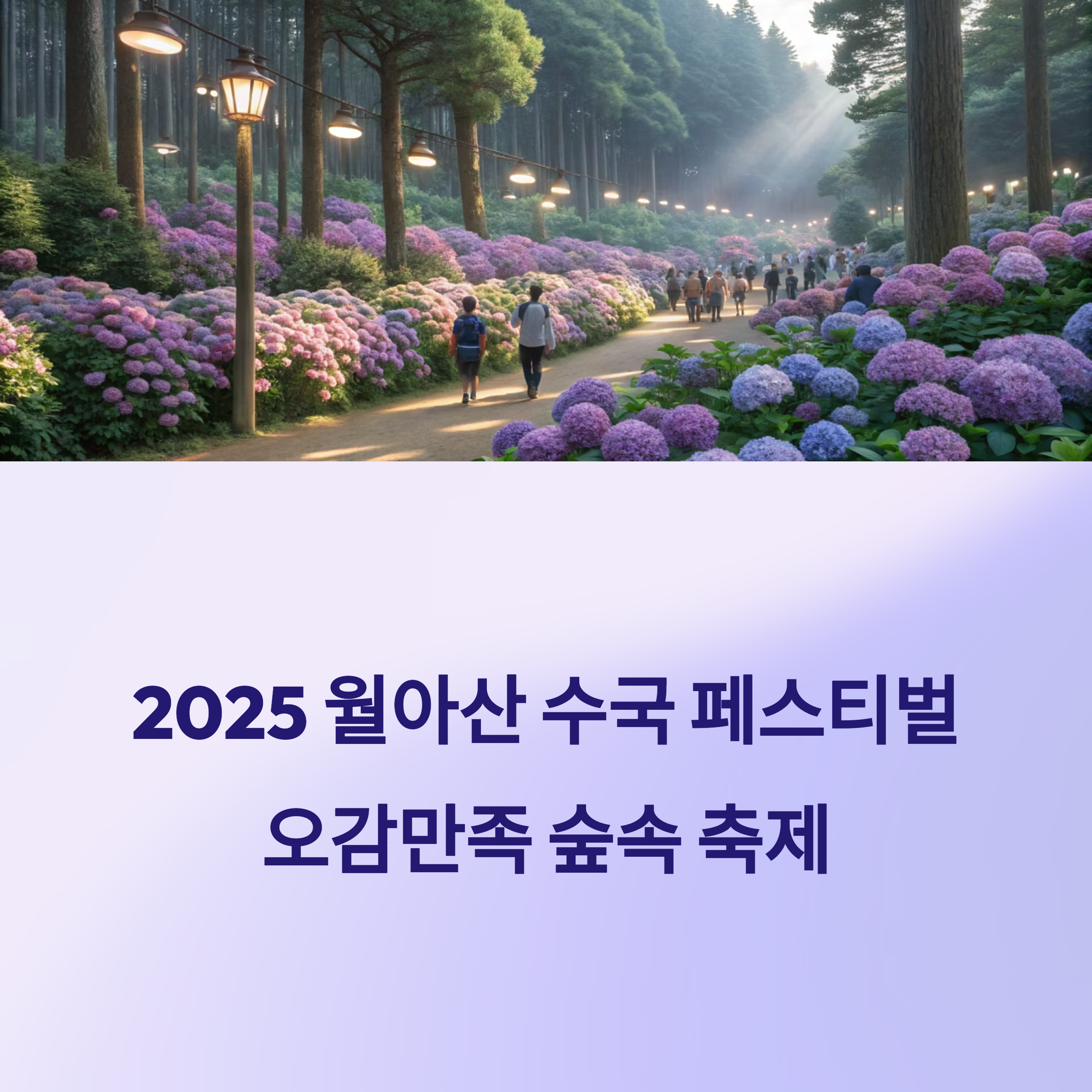 월아산 수국 페스티벌 가이드