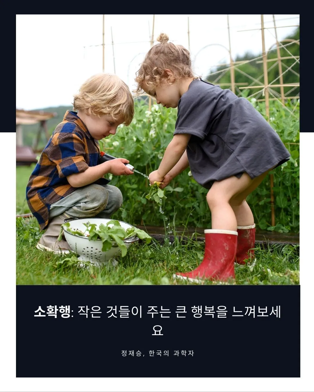 소확행