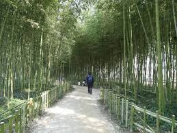 진주 가볼만한 곳 베스트 10