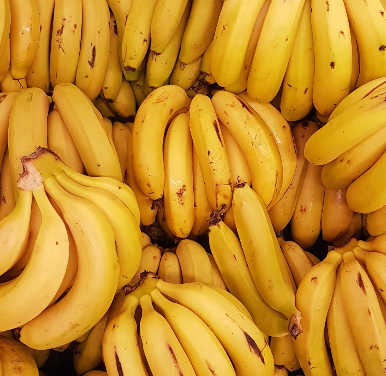 공복에 먹으면 좋은 음식