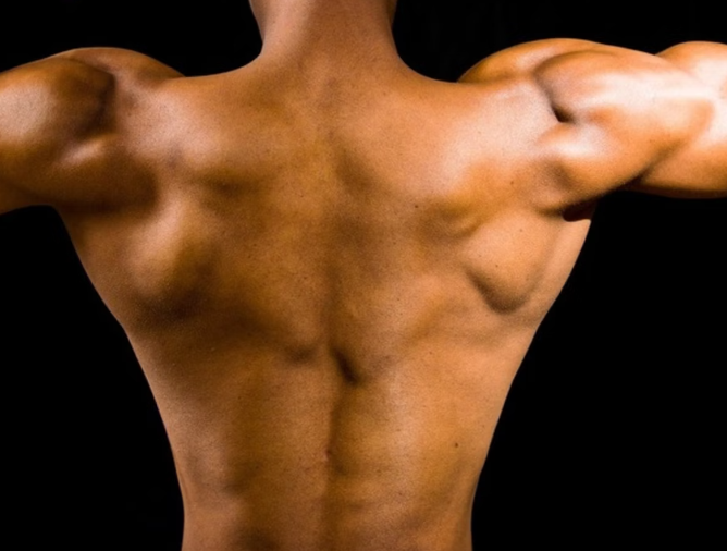 단백질 보충제 효과(효능)