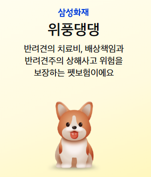 반려동물 보험 비교