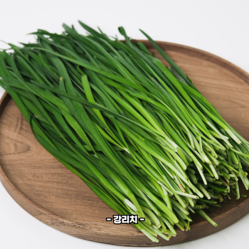 부추 효능