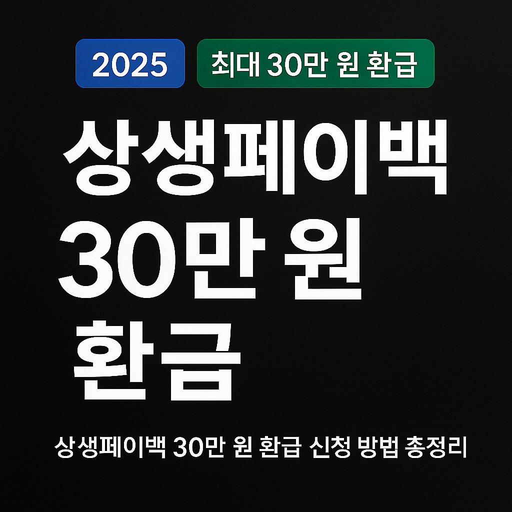 상생페이백 30만 원 환급 총정리