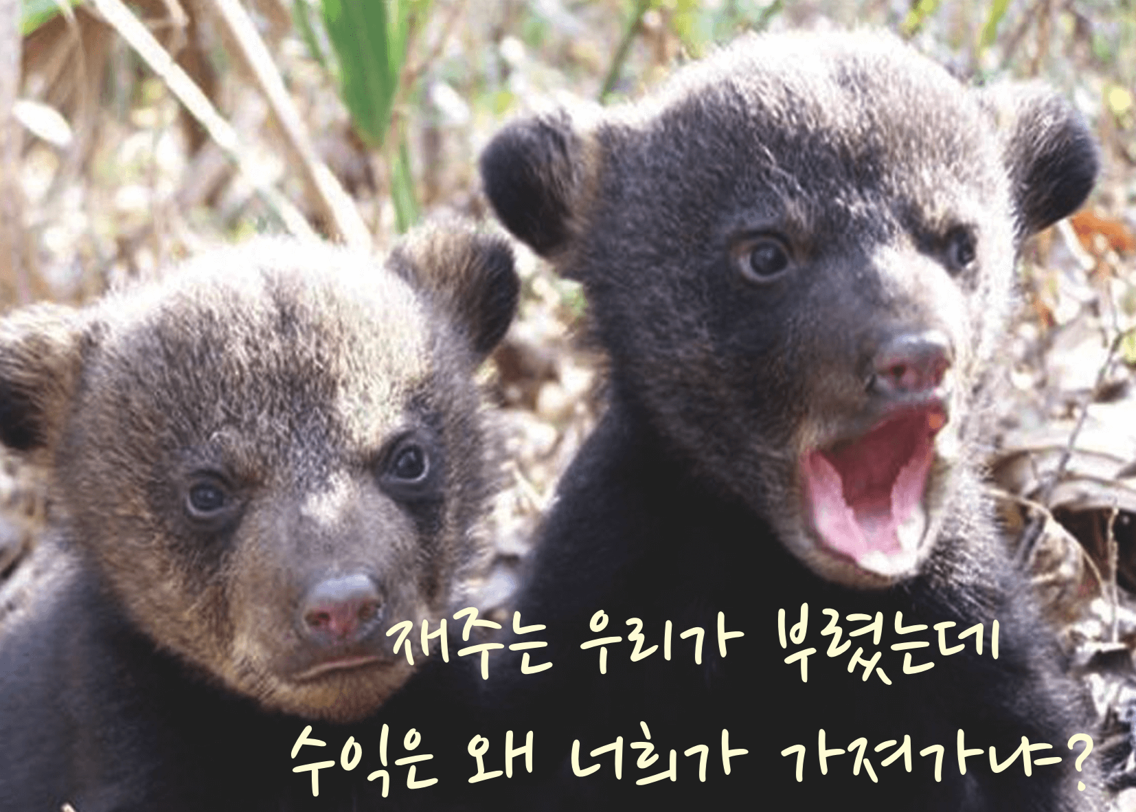 카카오의 현실