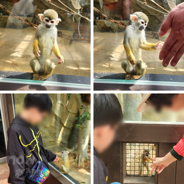 아산시-생태곤충원