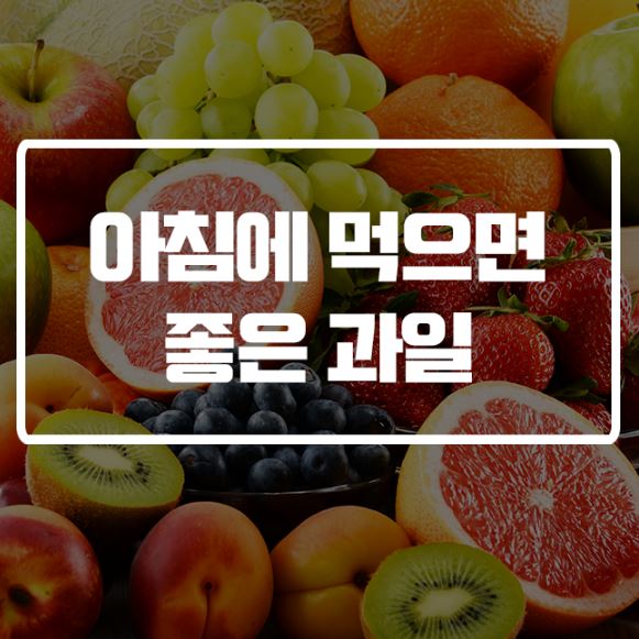 한국인이 사랑하는 아침 과일 (사과, 바나나, 블루베리)
