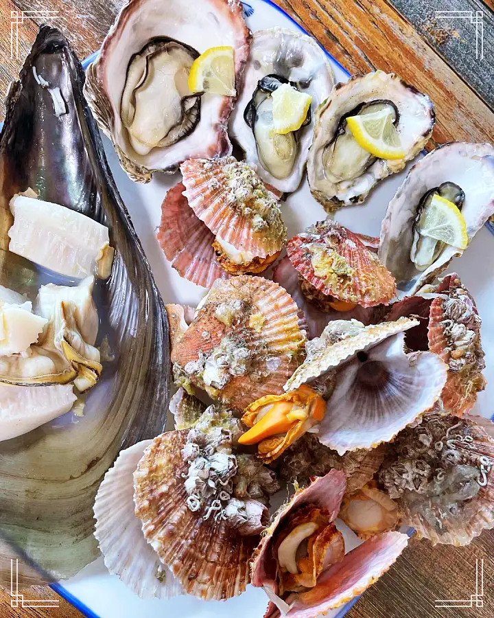 대구 요리 한상 오션뷰 횟집 맛집 해금강 제트보트 일출 명소 여행 가볼만한 곳 추천 생방송투데이 거제 보고 먹고 즐기고 3GO