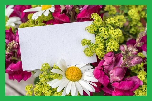 꽃-메시지카드
