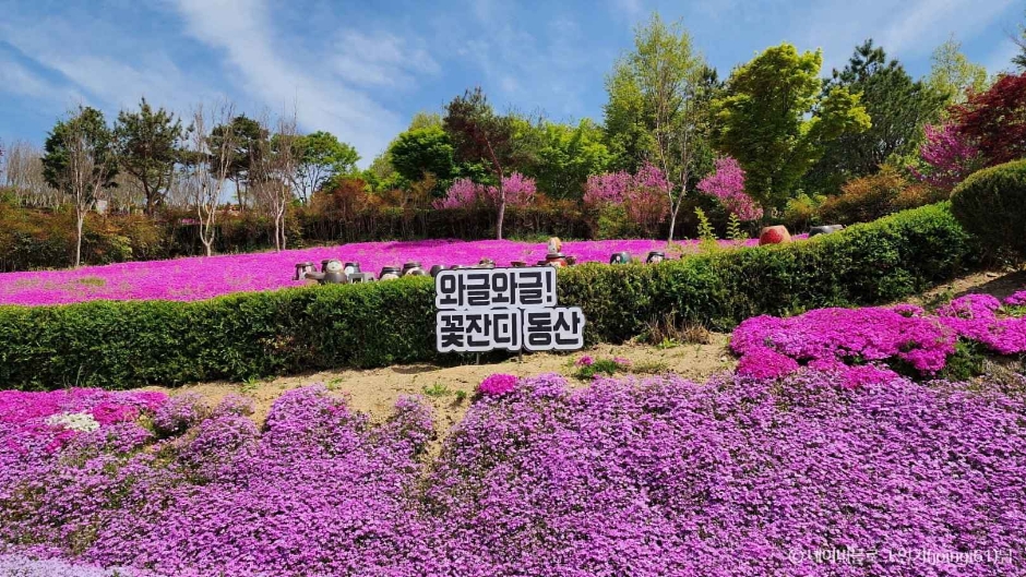 진안꽃잔디동산