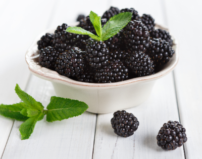블랙베리의 영양