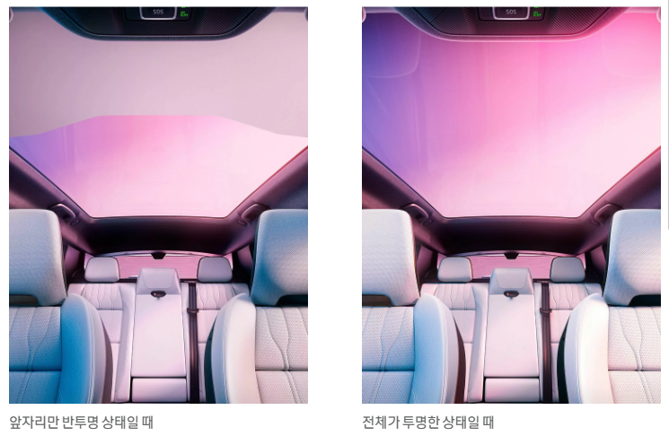 르노 세닉