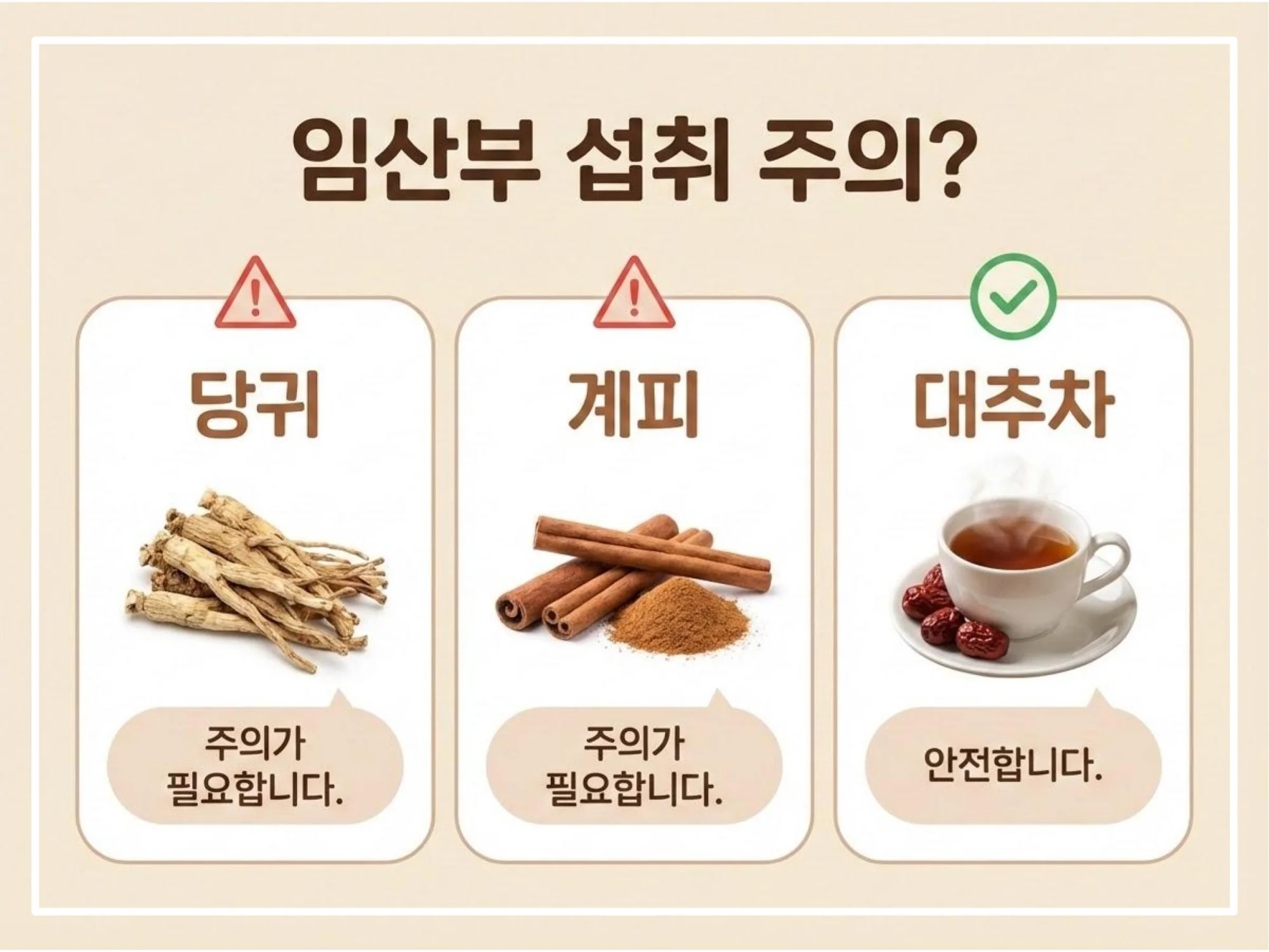 임산부 섭취 주의가 필요한 당귀와 계피, 그리고 안전한 대추차에 대한 정보 인포그래픽