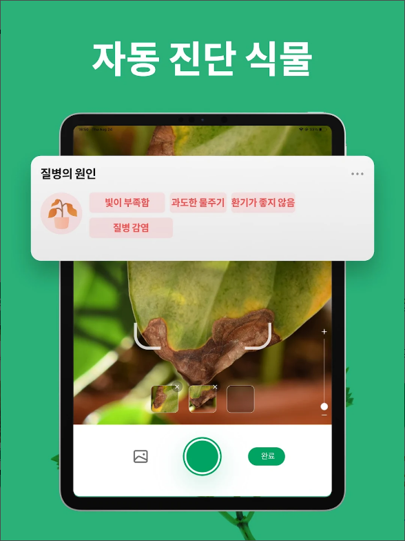꽃 이름 찾기 어플, 사진 이미지로 꽃 찾고 검색하기
