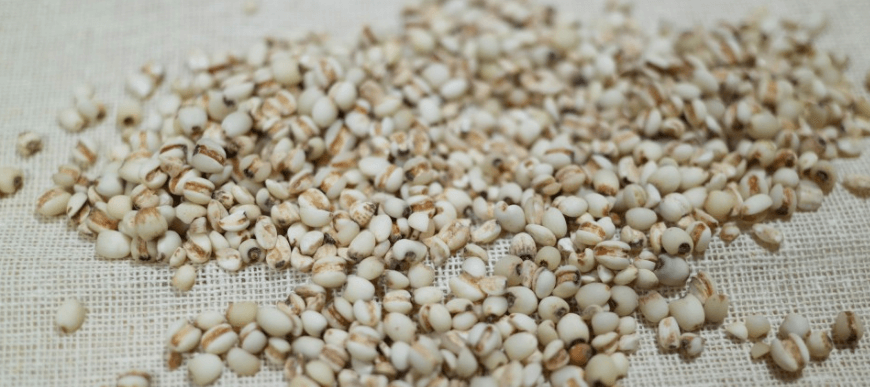 율무가 바닦에 펼처져 있다