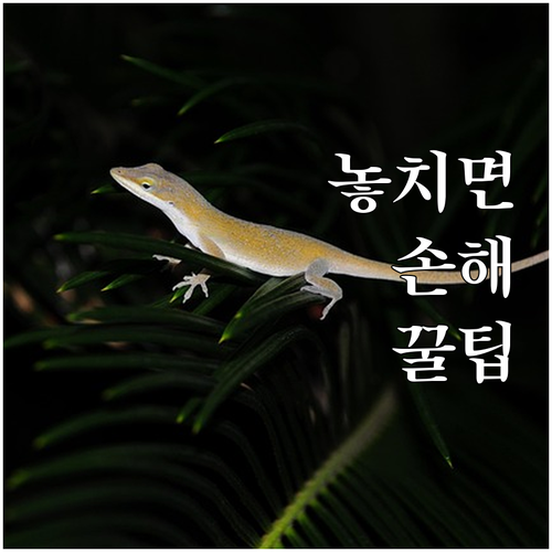 경남 청년 학자금 이자 전액 지원 미..