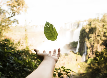 땀띠 가라앉히는 방법 27