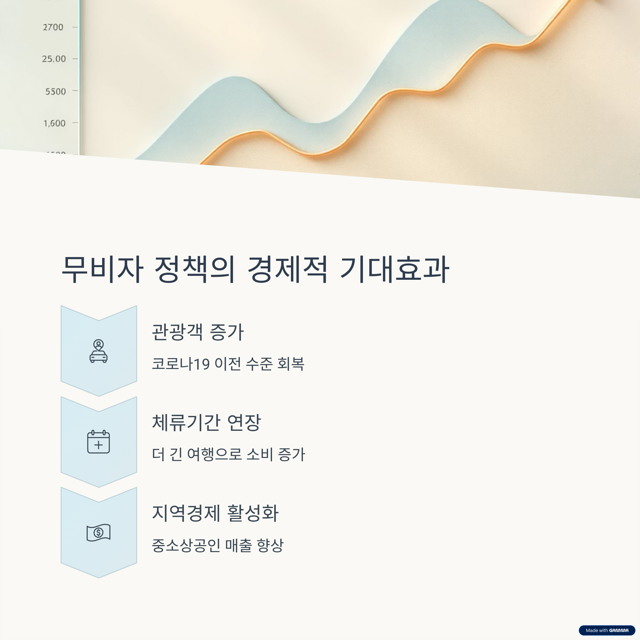 중국인광광객무비자
