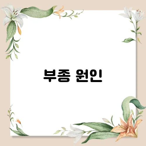 부종 원인