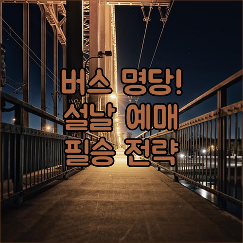 버스 기종별 명당 좌석 확인법과 설날..