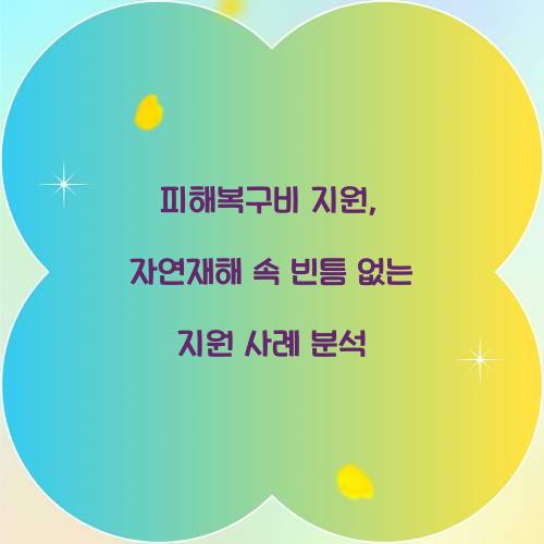 피해복구비 지원