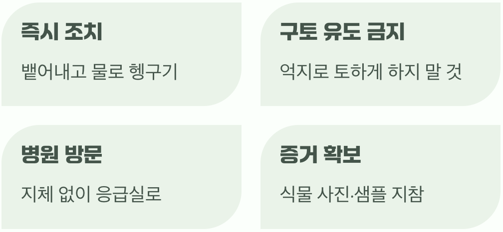 만약 실수로 먹었다면?