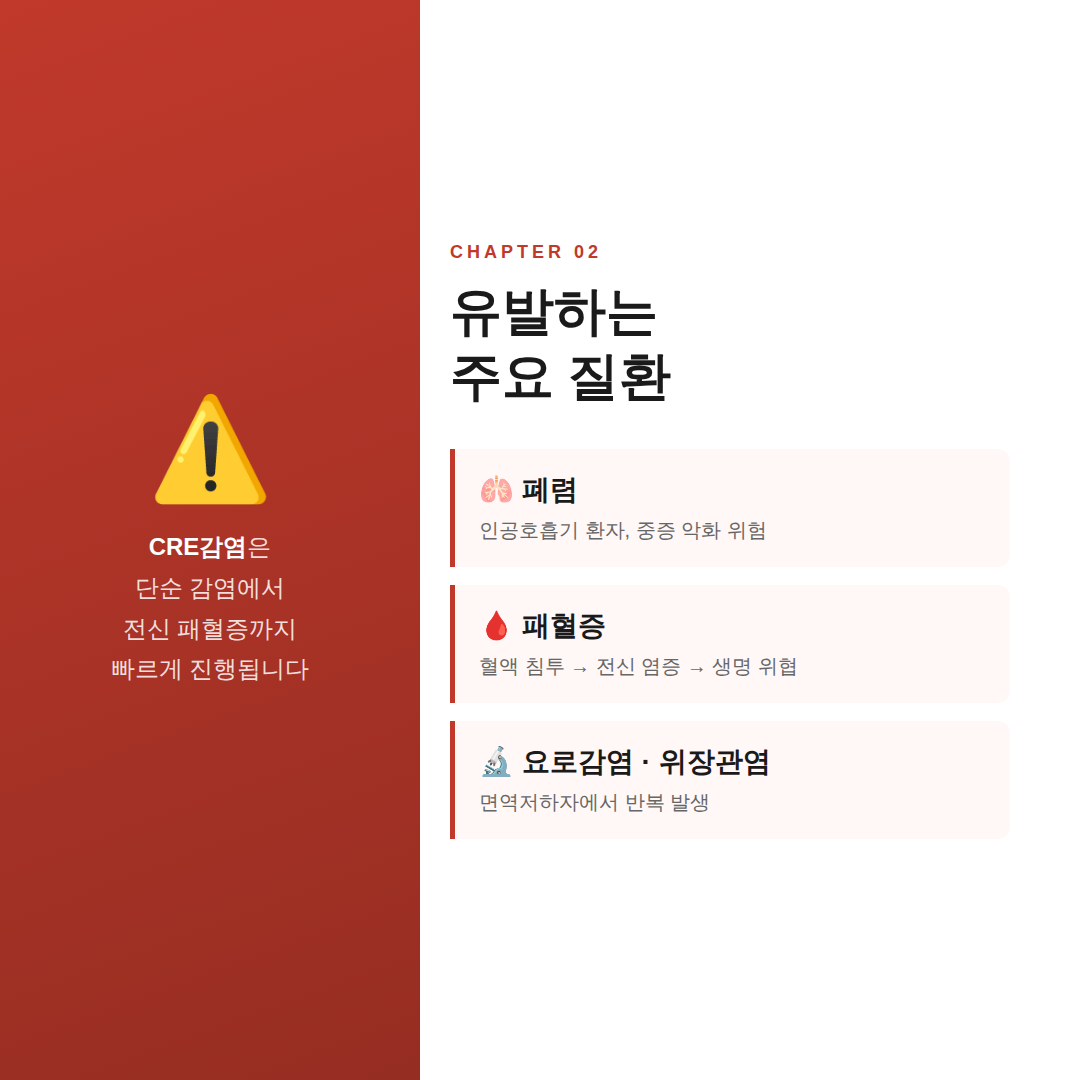 레드 계열의 좌측 배너와 흰색 우측 본문으로 나뉜 분할 레이아웃 카드뉴스. 왼쪽에는 '⚠️ CRE감염은 단순 감염에서 전신 패혈증까지 빠르게 진행됩니다'라는 경고 메시지가 있으며, 오른쪽에는 폐렴, 패혈증, 요로감염&middot;위장관염의 3가지 주요 질환이 항목별로 정리된 이미지.