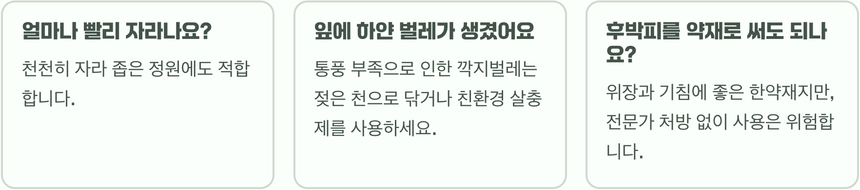 정원수로 후박나무 키우기, 실패하지 않는 5가지 비결