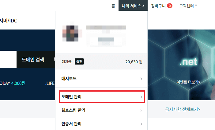 도메인 관리 클릭