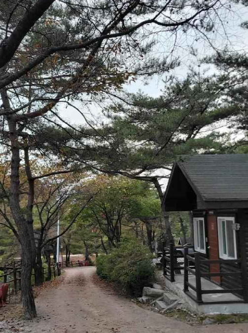 불정자연휴양림