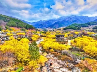 구례 여행코스 추천 섬진강 드라이브 코스와 계곡 정보_7