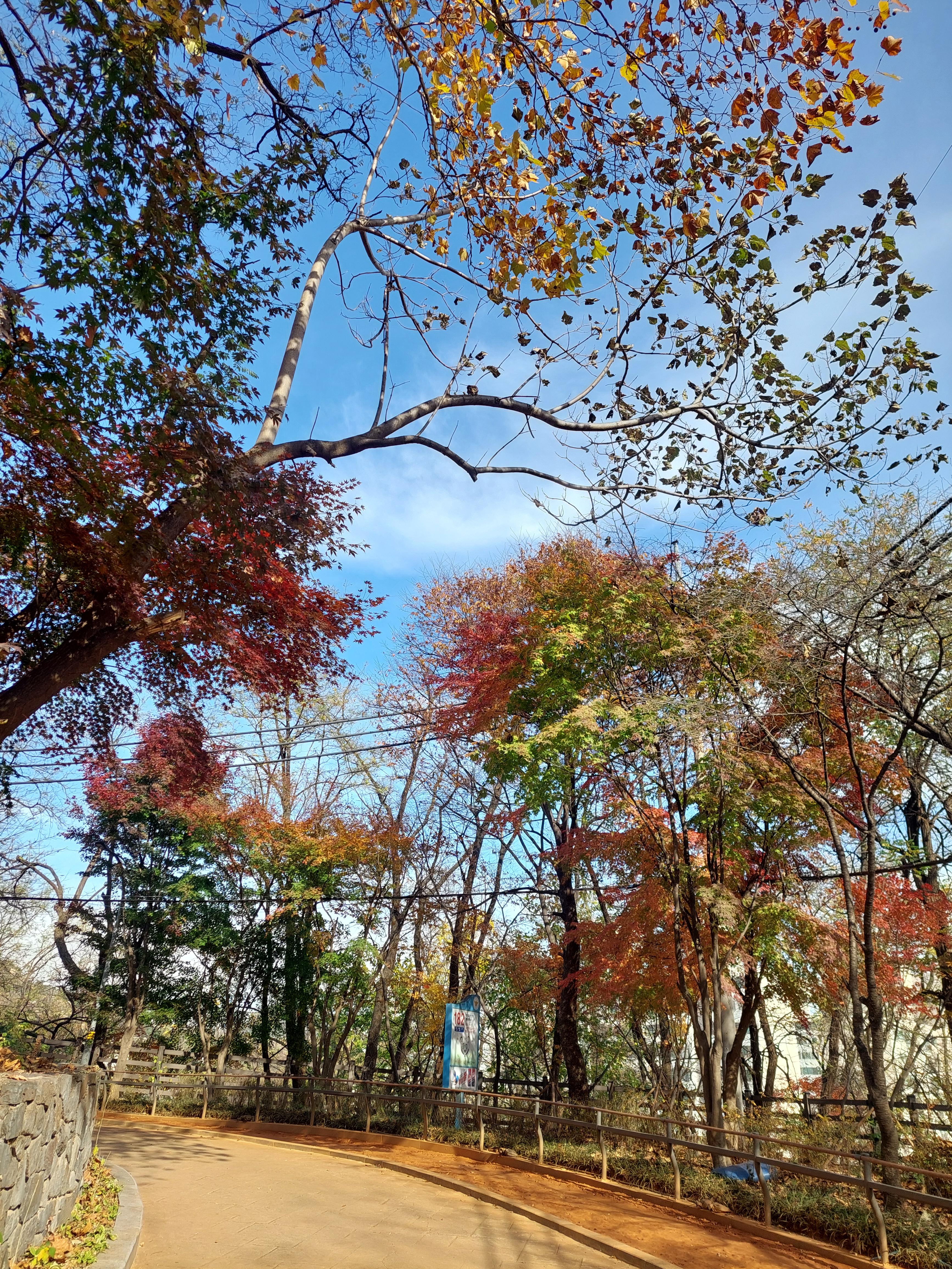안산
