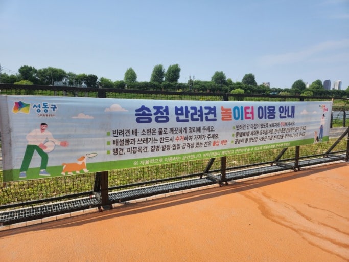 서울 도심 속 반려견과 산책하기 좋은 공원 BEST 6 관련 사진
