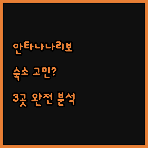 마다가스카르 안타나나리보 숙소, 어디