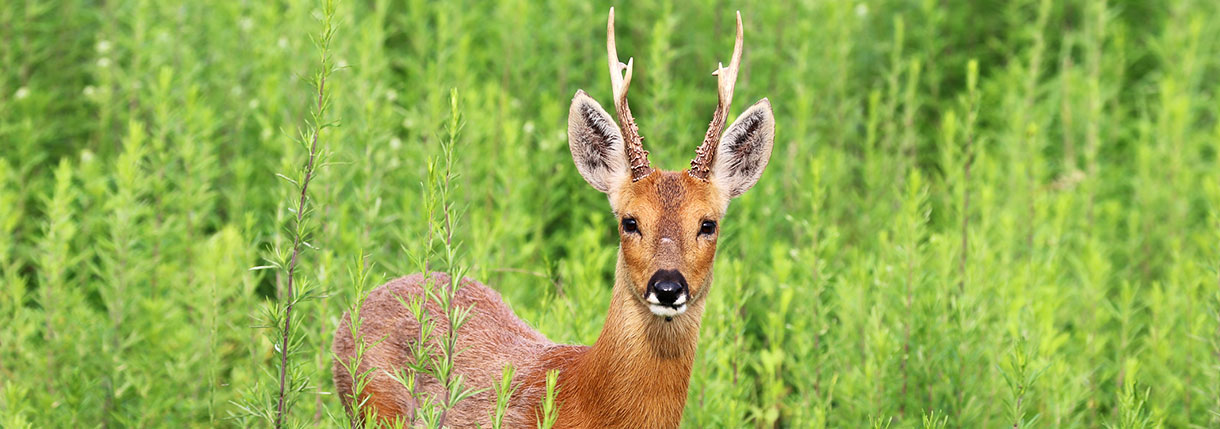 국립생태원 예약방법