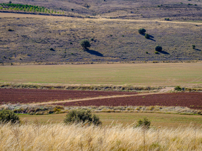 농지연금 가입조건 수령액 계산 총정리