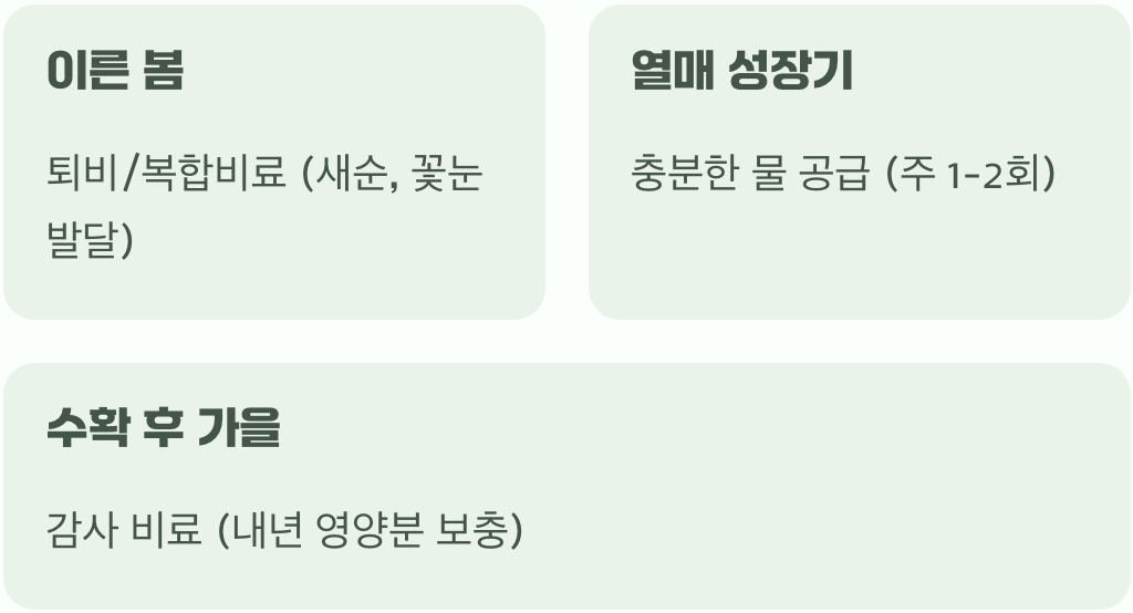 비결 4. '물'과 '거름', 타이밍이 중요해요