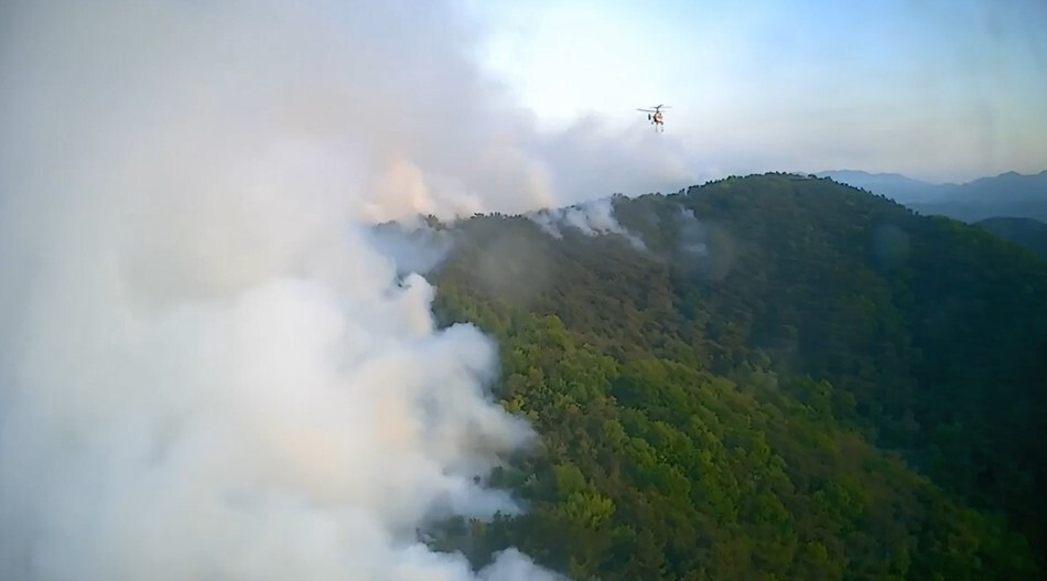 산림당국이 29일 오전 대구 북구 함지산 산불을 끄고 있다. 산림청 제공