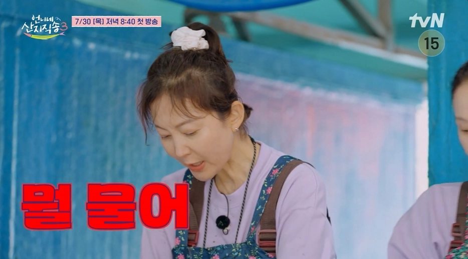 tvN-언니네-산지직송3-OTT-기본정보-다시보기-출연진