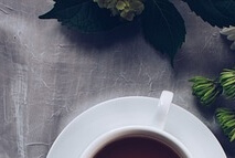 건강보험료 환급금