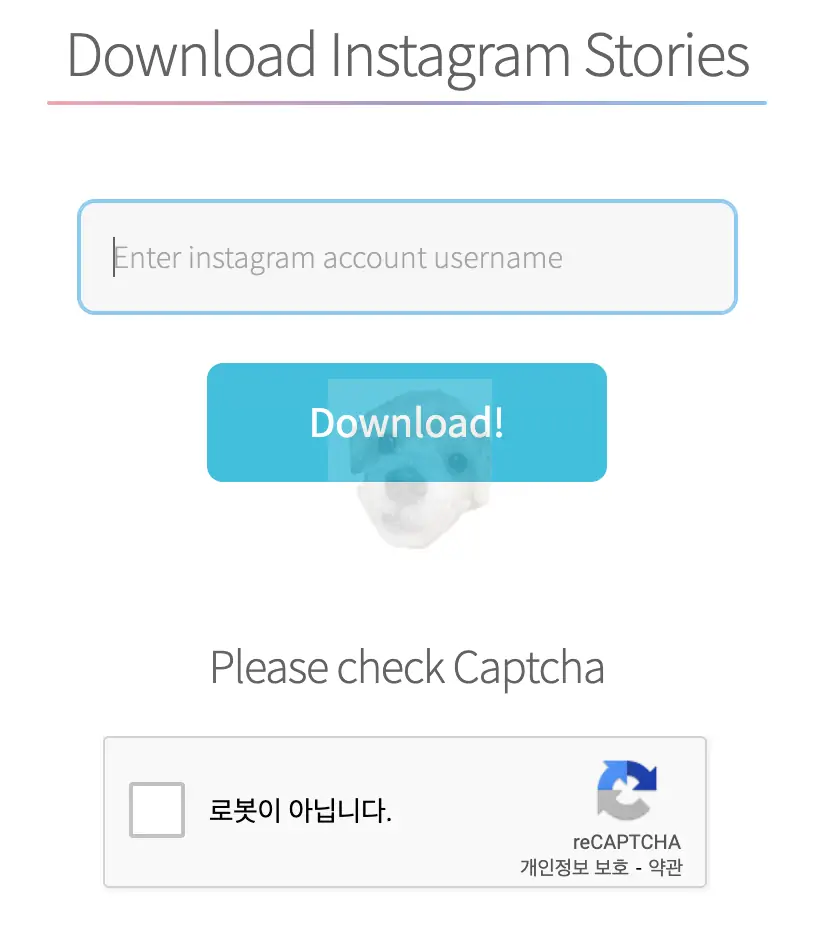 스토리 세이버 리캡챠 사진