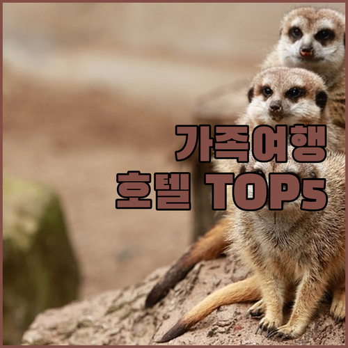 가족 여행객 필독! 그랜드 프레리 인..